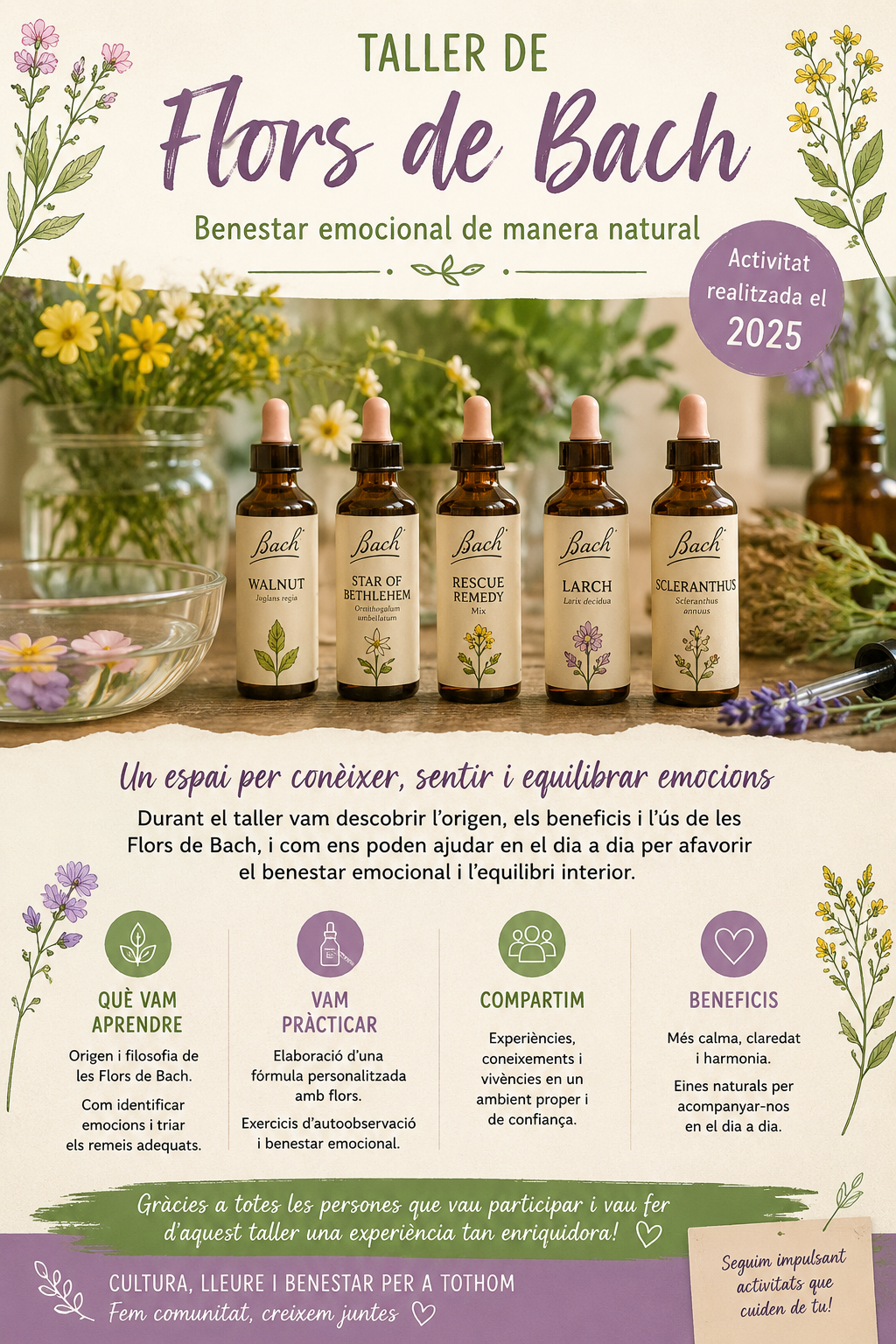 imatge flors de bach